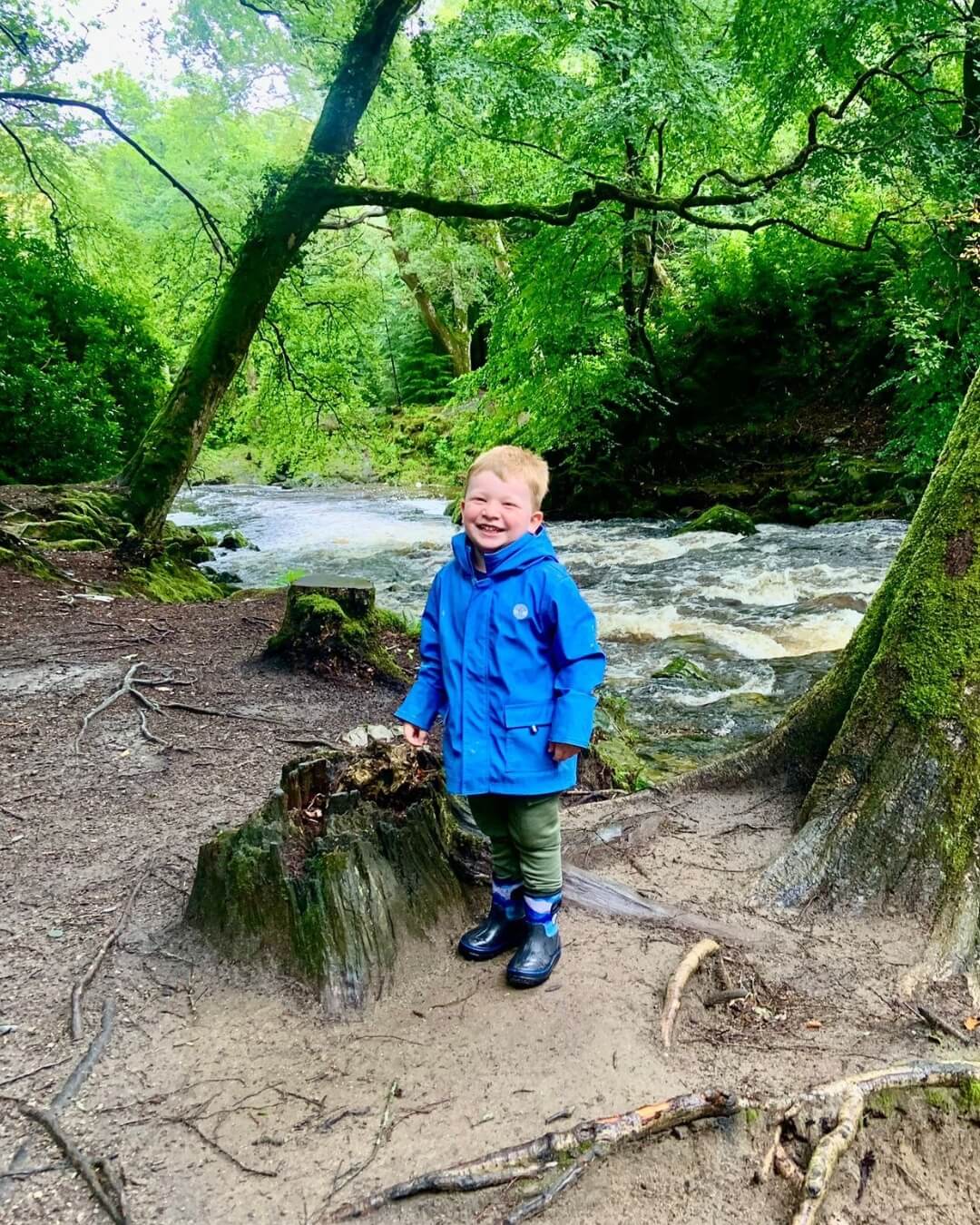 Happy boy in blue rain jacket by a stream in forest