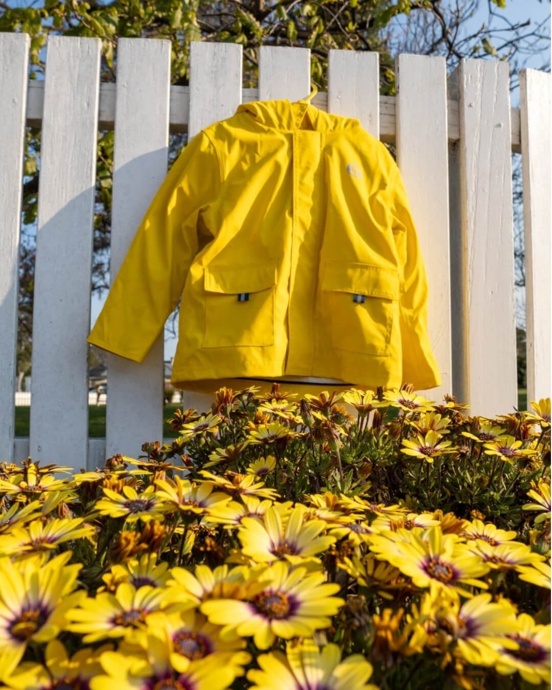Yellow Classic Raincoat hanging on fence with yellow flowers