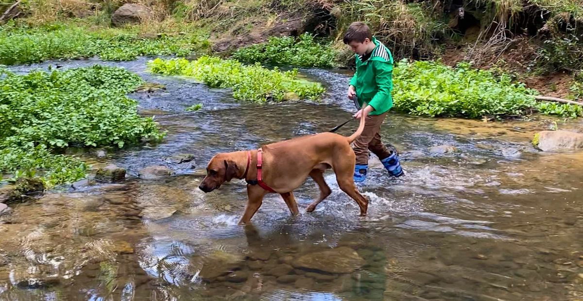 Family Friendly Walks in the Southern Highlands NSW